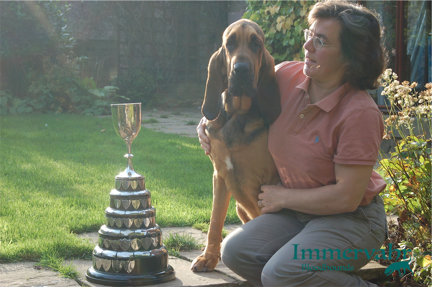 bloodhound with 1st prize trophy