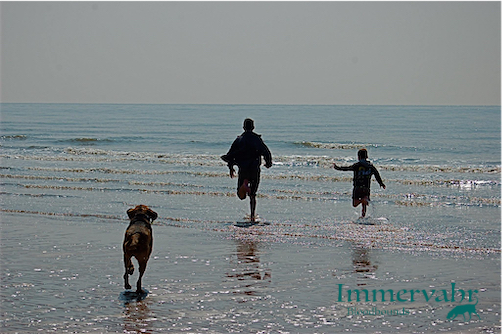 boys with dog at seaside